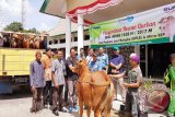 Unit Produksi Laut Bangka (UPLB) dan Mitra KIP PT Timah (Persero) Tbk saat menyerahkan hewan kurban pada Perayaan Idul Adha 1438 H di Pangkalpinang, Sabtu (2/9/2017). (antarababel.com/Aprionis)