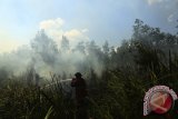 Kebakaran Hutan dan Lahan Di Ogan Ilir