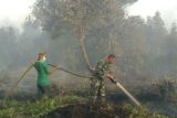 264 Hektare Lahan Terbakar di Kotim 
