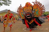 Barong Kumbo menampilkan tariannya di Rogojampi, Banyuwangi, Jawa Timur, Minggu (24/9). Dalam tradisi, Barong kumbo yang menjadi simbol amarah dan pengusir roh jahat itu, ditetapkan sebagai raja barong di Banyuwangi karena memiliki ukuran yang besar. Antara Jatim/Budi Candra Setya/uma/17.