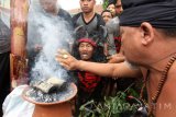 Tradisi keboan merupakan tradisi tolak balak dan bentuk ucapan syukur masyarakat, atas melimpahknya hasil panen. Diawali dengan selamatan di empat penjuru desa, dilanjutkan dengan ider bumi. Antara Jatim/Budi Candra Setya/uma/17.