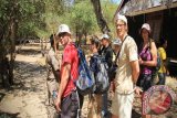 TN Komodo klaim kunjungan wisatawan terus meningkat