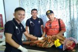 Dinas Kesehtan Kabupaten Tabalong dibantu mantri sunat dan dokter umum melaksanakan sunatan massal di Desa Kampung Baru Kecamatan Muara Uya dalam rangka karya bhakti Pekerja Sosiak Masyarakat ke -15 se Kalsel. Menurut dokter Agus sunatan massal ini ditargetkan bagi 50 anak.Foto Antaranews. Kalsel/Herlina Lasmianti