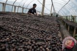 Komoditas karet dan kopi pacu industri Sumsel 