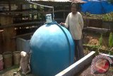 Unand Olah Kotoran Sapi Jadi Biogas