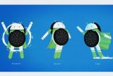 Adopsi Android, Oreo Tumbuh, Marshmallow Menyusut