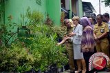 DKP Makassar sempurnakan program Lorong Garden