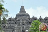 TWCB dukung pengembangan wisata kopi Majaksingi jadi ikon Borobudur