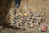 Denpal Palu musnahkan 525 butir granat Korea 
