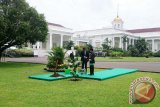 Presiden RI Joko Widodo bersama Emir Qatar Sheikh Tamim bin Hamad Al Thani saat menanam pohon eboni atau kayu hitam Sulawesi di halaman belakang Istana Kepresidenan Bogor, Jawa Barat Rabu (18/10/2017). Penanaman pohon itu melambangkan persahabatan erat Indonesia-Qatar. (ANTARA FOTO/Bayu Prasetyo).