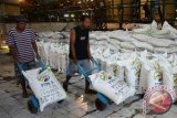 Distributor di Palu siapkan stok kebutuhan pokok hadapi Natal dan tahun baru