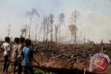 Sejumlah anak melihat kobaran api yang membakar lahan gambut di kawasan hutan Desa Simpang, Kecamatan Kaway XVI, Aceh Barat, Minggu (22/10). Kebakaran lahan gambut semakin meluas ke perkebunan sawit warga karena pengaruh angin kencang dan teriknya cuaca. Antara Foto/Syifa Yulinnas/nym/2017.