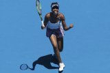 Meski berusia 40 tahun, Venus Williams tetap bermimpi raih  Grand Slam
