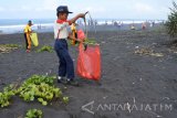 Sejumlah siswa melakukan aksi bersih-bersih pantai dalam memperingati Hari Sumpah Pemuda di Pantai Paseban, Kencong, Jember, Jawa Timur, Sabtu (28/10). Sebanyak 500 siswa-siswi SMK Muhammadiyah 5 Jember melakukan aksi tersebut untuk menjaga kebersihan pantai selatan. Antara Jatim/Seno/uma/17.