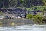 Sejumlah penambang pasir ilegal beraktivitas di atas rakit-rakit penyedot pasir di tengah aliran Sungai Brantasa, Tulungagung, Jawa Timur, Minggu (29/10). Aktivitas penambangan pasir-batu (sirtu) oleh Balai Besar Wilayah Sungai (BBWS) Brantas untuk tujuan nomalisasi pemunuhan kebutuhan material proyek strategis nasional Bendungan Tugu di Trenggalek telah memicu maraknya aktivitas penambangan pasir mekanik secara liar namun tak kunjung ditindak aparat keamanan setempat. Antara Jatim/Destyan Sujarwoko/uma/17