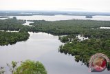 Pemandangan kawasan Taman Nasional Danau Sentarum (TNDS) di Kabupaten Kapuas Hulu, Kalimantan Barat, Kamis (26/10). Danau Sentarum yang merupakan danau pasang surut seluas 132 hektar dan berada di sebelah timur Kalimantan Barat tersebut, menjadi objek wisata unggulan Pemerintah Kabupaten Kapuas Hulu bagi para wisatawan lokal serta mancanegara. ANTARA FOTO/Hs Putra Pasaribu/jhw/17



