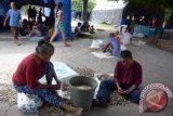 Pengungsi mengupas kacang tanah di posko pengungsian GOR Swecapura Klungkung, Bali, Selasa (24/10). Sejumlah pengungsi Gunung Agung menjadi buruh kupas kacang dengan upah Rp25 ribu per karung untuk mengisi waktu kosong sekaligus memenuhi kebutuhan hidup sehari-hari. ANTARA FOTO/Wira Suryantala/wdy/2017.