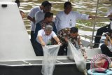 Pembukaan Kongres Sungai Indonesia III yang berlangsung 1-4 November 2017 salah satunya ditandai dengan penebaran ribuan  bibit ikan patin di aliran Sungai Martapura di Banjarmasin oleh sejumlah pejabat antara lain Dirjen Sumber Daya Air, Kemen PUPR Imam Santoso dan Dirjen Pengendalian Pencemaran Lingkungan Kemen LH dan Kehutanan MR Karliansyah disaksikan Wali Kota Banjarmasin Ibnu Sinu.Foto Antaranews/Sukarli