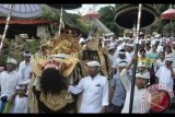 Umat Hindu berkeliling wilayah desa dalam Tradisi Ngerebeg saat Hari Raya Galungan di Desa Adat Penglipuran, Bangli, Bali, Rabu (1/11). Tradisi Ngerebeg tersebut dilakukan warga setempat untuk menolak bala sekaligus menetralisir dan menyucikan situasi pedesaan. ANTARA FOTO/Fikri Yusuf/wdy/2017