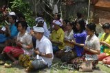 Sejumlah umat Hindu melakukan persiapan sembahyang perayaan Hari Raya Galungan yang dipusatkan di Pura Luhur Dwijawarsa, Buring, Malang, Jawa Timur, Rabu (1/11). Sembahyang dalam Perayaan Galungan di pura tersebut dibagi dalam tiga gelombang yakni pagi, siang dan sore untuk mengantisipasi banyaknya umat Hindu yang datang. Antara Jatim/Ari Bowo Sucipto/uma/17.