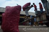 Pekerja mengangkut bawang merah di pasar bawang merah Tamansari, Dringu, Probolinggo, Jawa Timur, Kamis (2/11). Harga bawang merah di pasar bawang tersebut naik dari harga Rp14.000 per kg menjadi Rp17.000 per kg karena stok mulai berkurang akibat petani gagal panen. Antara Jatim/Umarul Faruq/mas/17.