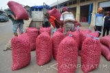 Pekerja mengangkut bawang merah di pasar bawang merah Tamansari, Dringu, Probolinggo, Jawa Timur, Kamis (2/11). Harga bawang merah di pasar bawang tersebut naik dari harga Rp14.000 per kg menjadi Rp17.000 per kg karena stok mulai berkurang akibat petani gagal panen. Antara Jatim/Umarul Faruq/mas/17.