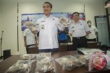 Kepala Badan Narkotika Nasional Provinsi (BNNP) Bali Brigjen Pol Putu Gede Suastawa (kiri) dan Kepala Bagian Umum BNNP Bali, AKBP Sang Gede Sukawiyasa (kedua kanan) memeriksa barang bukti paket ganja kering dalam konferensi pers di Kantor BNNP Bali, Denpasar, Rabu (8/11). BNNP Bali menangkap dua tersangka jaringan pengedar ganja dengan barang bukti sekitar 5Kg ganja kering yang dikirim melalui paket kargo dari Aceh ke Bali. Antara Bali/Nyoman Budhiana/nym/2017.