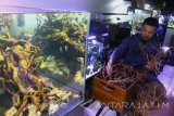 Pengrajin membuat akuarium aquascape untuk dikirim ke Jakarta dan Bandung dengan harga Rp500 ribu hingga 30 juta rupiah di Klojen, Malang, Jawa Timur, Kamis (9/11). Pengrajin akuarium aquascape di kawasan tersebut mengaku terpaksa menolak permintaan ekspor akibat sulitnya birokrasi dan persyaratan untuk melakukan pengiriman ke luar negeri. Antara Jatim/Ari Bowo Sucipto/uma/17.