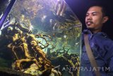 Pengrajin membuat akuarium aquascape untuk dikirim ke Jakarta dan Bandung dengan harga Rp500 ribu hingga 30 juta rupiah di Klojen, Malang, Jawa Timur, Kamis (9/11). Pengrajin akuarium aquascape di kawasan tersebut mengaku terpaksa menolak permintaan ekspor akibat sulitnya birokrasi dan persyaratan untuk melakukan pengiriman ke luar negeri. Antara Jatim/Ari Bowo Sucipto/uma/17.