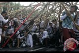Sejumlah pemuda berusaha menyatukan tongkat saat Tradisi Mekotek di Desa Munggu, Badung, Bali, Sabtu (11/11). Tradisi Mekotek yang digelar warga setempat bertepatan dengan Hari Raya Kuningan tersebut dilakukan sebagai simbol kemenangan dan untuk menolak bala. Antara Foto/Fikri Yusuf/nym/2017