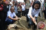 Menteri BUMN Rini Soemarno (kanan), menanam tebu di Kebun Mumbulsari PT Perkebunan Nusantara (PTPN) XII, Jember, Jawa Timur, Rabu (15/11). Dalam kunjungannya Menteri BUMN melakukan pencanangan peningkatan produksi gula sebesar 3,3 juta ton di tahun 2019 yang merupakan sinergi BUMN untuk mewujudkan swasembada gula yang berdaya saing. ANTARA FOTO/Seno/wdy/2017.