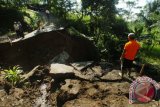 NTT Telah Membentuk 12 Kampung Siaga Bencana