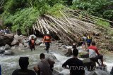 Petugas Badan Penanggulangan Bencana Derah (BPBD) Magetan bersama relawan melakukan pencarian korban banjir di Magetan, Jawa Timur, Sabtu (18/11). Tim gabungan BPBD, Basarnas dan relawan selama tiga hari sejak Kamis (16/11) melakukan penyisiran gorong gorong dan sungai untuk mencari Fabustam Abu Amar pelajar SMA yang hanyut terseret arus air saat bermain bersama Arega Rafasta Fifa yang jenazahnya sudah ditemukan Kamis (16/11). Antara Jatim/Siswowidodo/mas/17.