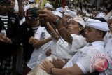 Seorang umat Hindu yang kesurupan menusukkan keris ke dadanya saat Tradisi Ngerebong di Pura Dalem Pengrebongan, Denpasar, Bali, Minggu (19/11). Tradisi berkeliling Pura dengan diwarnai puluhan umat yang kesurupan tersebut bertujuan untuk menyucikan alam dan menetralisir kekuatan negatif sekaligus menciptakan keharmonisan. ANTARA FOTO/Fikri Yusuf/wdy/2017.