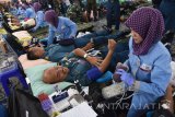 Sejumlah prajurit TNI AL diambil darahnya ketika mengikuti donor darah Hari Armada 2017 di Surabaya, Jawa Timur, Senin (20/11). Donor darah yang diikuti sekitar 500 orang prajurit dan masyarakat sipil tersebut tersebut diharapkan mampu membantu PMI dalam menyediakan darah. Antara Jatim/M Risyal Hidayat/mas/17.