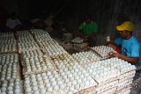 Pekerja memilah telur bebek untuk proses pengasinan di rumah industri kampung bebek Desa Kebon Sari, Candi, Sidoarjo, Jawa Timur, Rabu (22/11). Peternak bebek mampu memproduksi telur 40.000 butir hingga 80.000 butir per hari dari 75.000 ekor hingga 100.000 ekor bebek yang dijual dengan harga Rp2.400 perbutir. Antara Jatim/Umarul Faruq/mas/17.