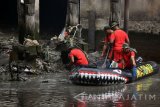 Sejumlah prajurit TNI AL berada diatas perahu karet melakukan pembersihan sampah di sungai Kalimas Surabaya, Jawa Timur, Jumat (24/11). Sebanyak 5.500 personel gabungan TNI-Polri, Linmas, Satpol-PP bergotong royong membersihkan sampah sepanjang sungai Kalimas Surabaya dalam rangka memeriahkan HUT Armada RI 2017. Antara Jatim/M Risyal Hidayat/mas/17.