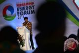 Pertamina Energy Forum 2017 