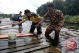 Anggota DPRD Kapuas Hulu Fabianus Kasim turun langsung memperbaiki jembatan darurat di kilometer 12 ruas jalan Nasional jalan Lintas Selatan Kecamatan Kalis, Kapuas Hulu Kalimantan Barat. (Foto Antara Kalbar/Timotius)