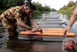 Anggota DPRD Kapuas Hulu Fabianus Kasim turun langsung memperbaiki jembatan darurat di kilometer 12 ruas jalan Nasional jalan Lintas Selatan Kecamatan Kalis, Kapuas Hulu Kalimantan Barat. (Foto Antara Kalbar/Timotius)