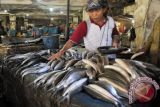 Pedagang ikan melayani pembeli di Pasar Induk Rau, Serang, Banten, Senin (4/12). BPS Senin (4/12) mengumumkan angka inflasi bulan November sebesar 0,2 persen, sedang inflasi tahun kalender sebesar 2,87 persen, dan inflasi tahun ke tahun 3,3 persen sehingga angka inflasi November 2017 tersebut merupakan yang terendah dibanding inflasi November tiga tahun sebelumnya. ANTARA FOTO/Asep Fathulrahman/ama/17