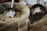 Di Sail Sabang 2017, Kemenperin Angkat Kopi Gayo dan Bordir Aceh