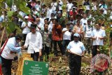 Presiden RI, Joko Widodo membuka acara Hari Menanam Pohon Nasional yang juga didukung Danone Aqua.