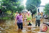 Bupati Barito Kuala Hj. Noormilyani AS meninjau banjir di Kecamatan Kuripan bersama SOPD lingkung Pemkab Batola, Selasa (12/12). Foto:Antaranews Kalsel/Arianto/G.