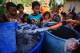 Warga terkena dampak bencana banjir mengisi air bersih kedalam wadah dipedalaman Matang Jurong, Desa Mampree, Kecamatan Syantalira Aron, Aceh Utara, Aceh, Rabu (13/12). Penyaluran air bersih yang dilakukan Komunitas Wartawan Peduli Bencana (KWPB) itu guna membantu persediaan air bersih warga yang sumur mereka tidak bisa digunakan akibat terkena limbah banjir yang menyebabkan baud an gatal gatal. (ANTARA FOTO/Rahmad/pd/17)