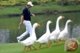 Pegolf peringkat enam dunia asal Inggris Justin Rose berjalan menuju green saat bertanding dalam putaran pertama turnamen golf Indonesian Masters di Royale Jakarta Golf Club, Jakarta Timur, Kamis (14/12). Kejuaraan dunia yang merupakan rangkaian akhir Asian Tour ini berlangsung 14 - 17 Desember 2017 dengan total hadiah 750 ribu dolar AS. ANTARA FOTO/Sigid Kurniawan/wdt/2017