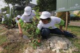 Sejumlah pelajar sekolah dasar dan aktifis pecinta lingkungan menanam pohon saat acara Anak Surabaya Menanam Pohonnya di Kenjeran, Surabaya, Jawa Timur, Minggu (17/12). Kegiatan yang diinisiasi oleh aktifis pecinta lingkungan Kampung Sawoeng dengan menggandeng PT Intiland Surabaya serta Pemkot Surabaya itu bertujuan untuk memberikan pemahaman tentang tanaman kepada pelajar sekaligus menumbuhkan rasa peduli terhadap lingkungan. Antara Jatim/Didik Suhartono/mas/17.