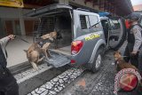 Anggota polisi unit K-9 menyiapkan anjing pelacak saat persiapan posko terpadu untuk liburan Natal dan Tahun Baru 2018 di Bandara Ngurah Rai, Senin (18/12). Bandara Ngurah Rai menyiagakan sekitar 1.300 personel untuk antisipasi peningkatan arus penumpang pada musim liburan akhir tahun dan telah mempersiapkan langkah antisipasi terhadap Gunung Agung yang masih berstatus awas. Antara Bali/Nyoman Budhiana/nym/2017.