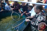 Lubeg Catfish Cultivation Can Be A Pilot Innovation: Vice Governor