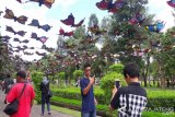 Pengunjung Borobudur disambut ratusan hiasan kupu-kupu
